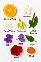 Nervous Angel Laundry Bundle