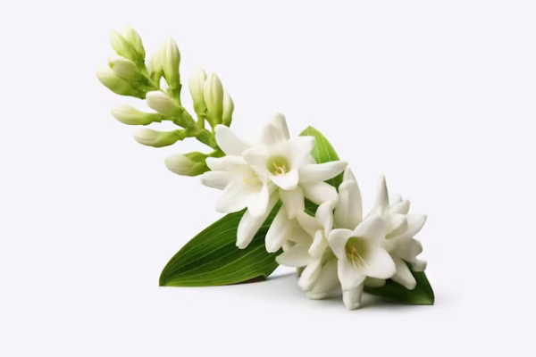 BEAUTYFUL DAY - Image 2